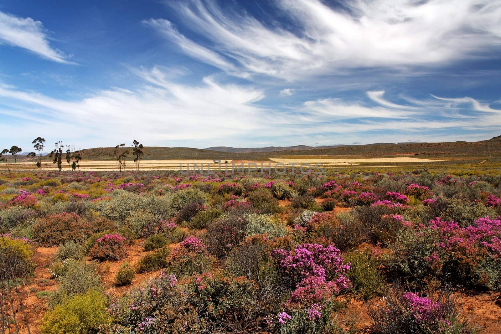 a long and lonely road in south afrika