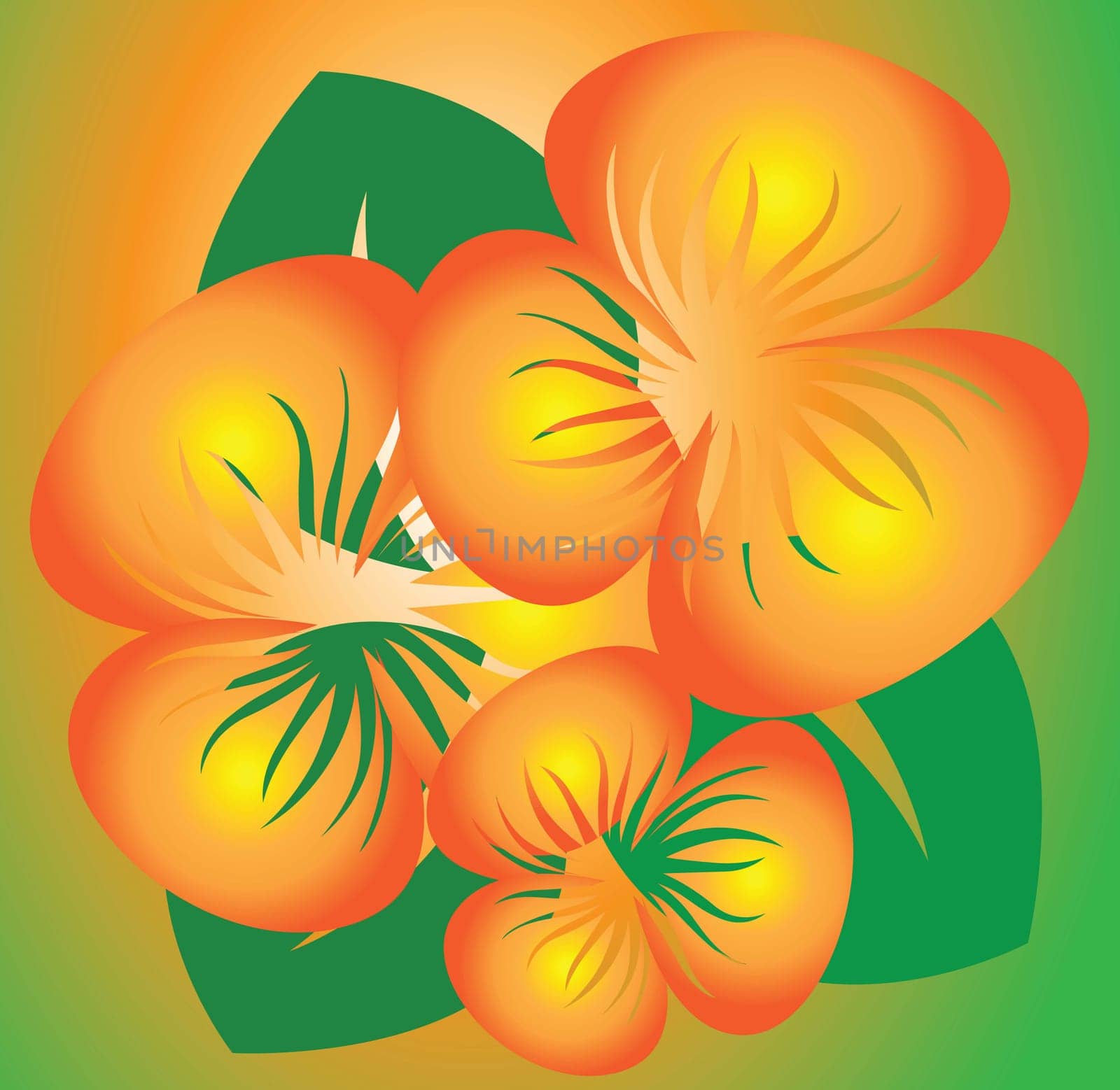 Illustration of plant with flower