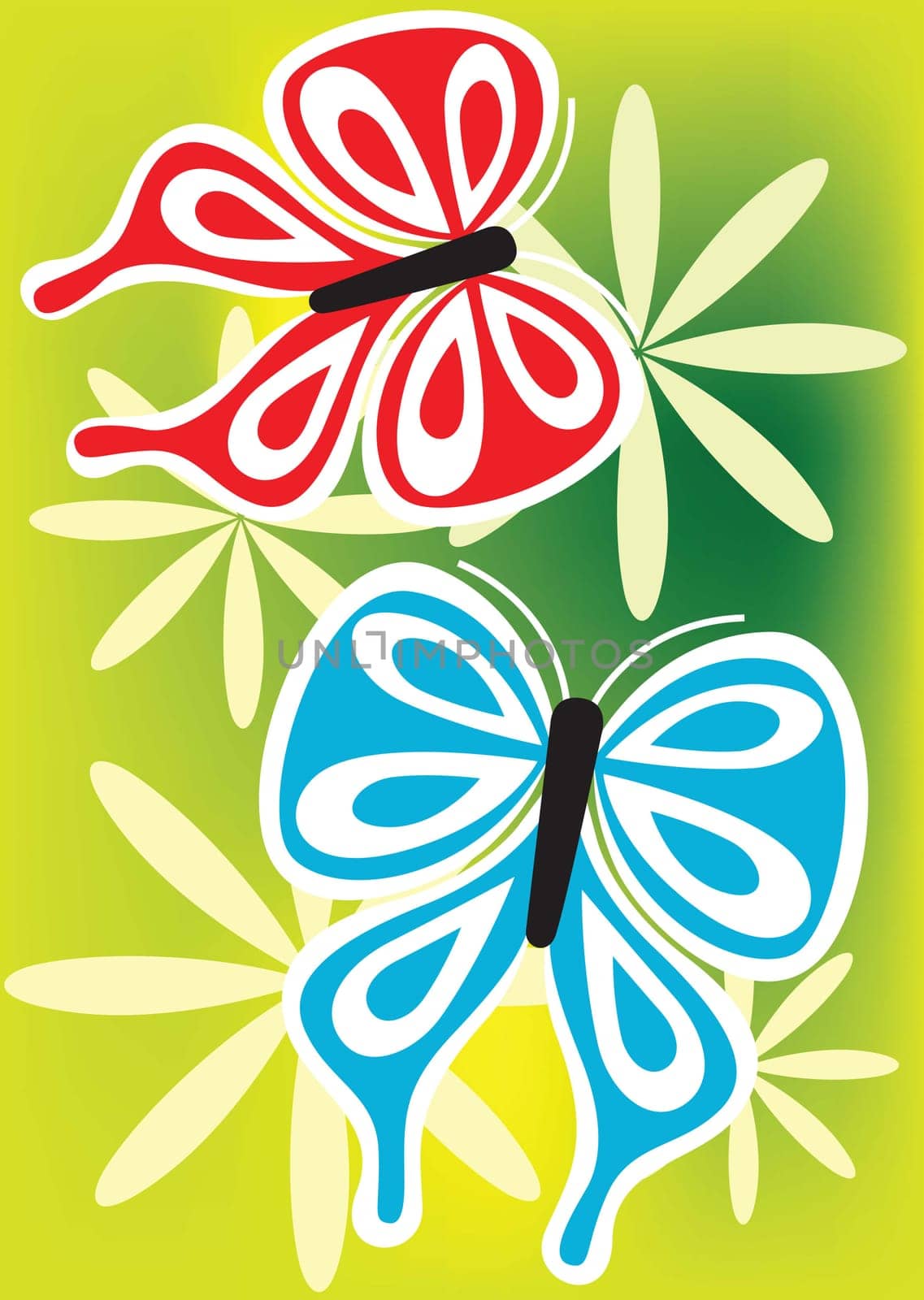 butterfly