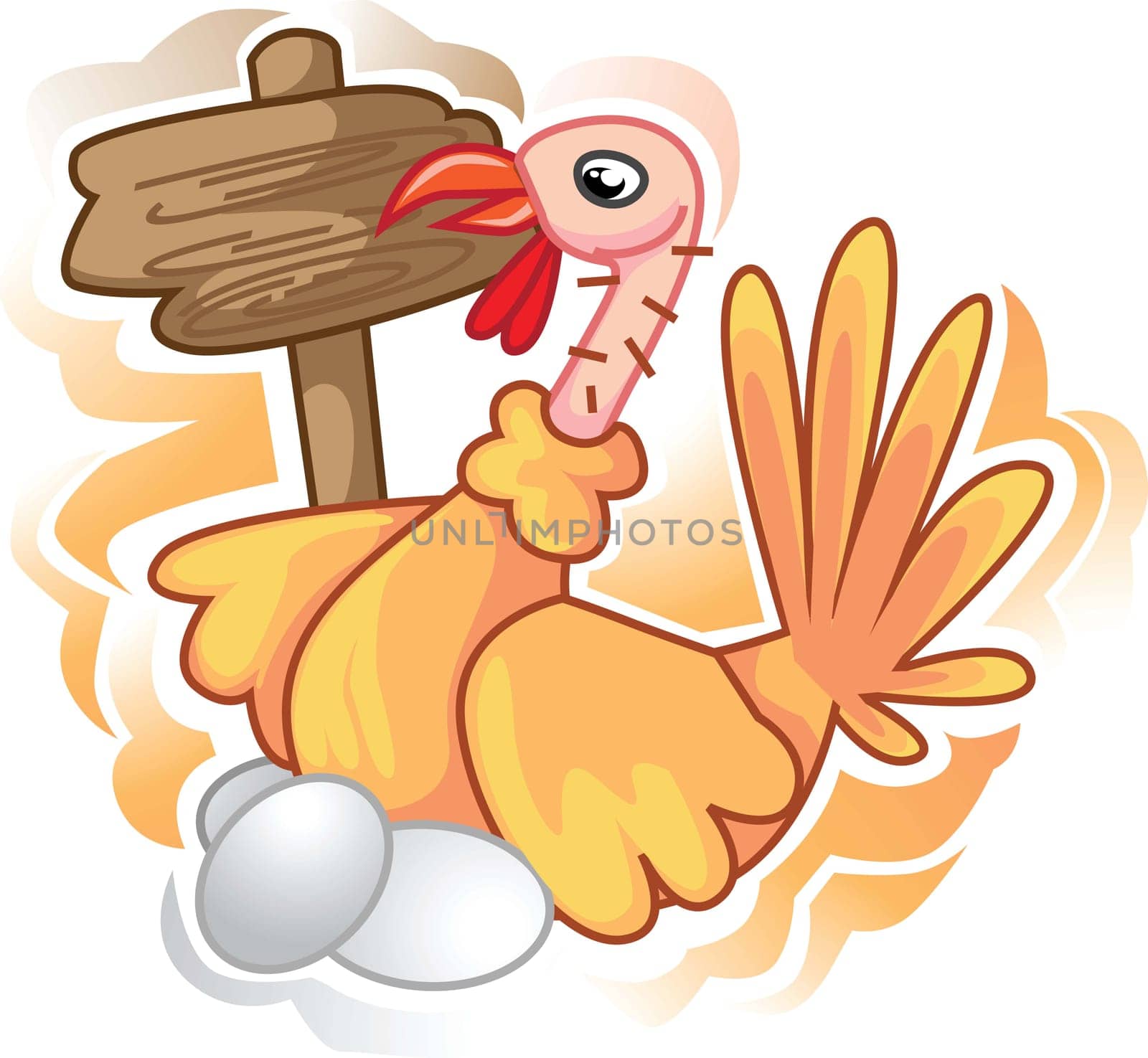 Turkey fowl and eggs