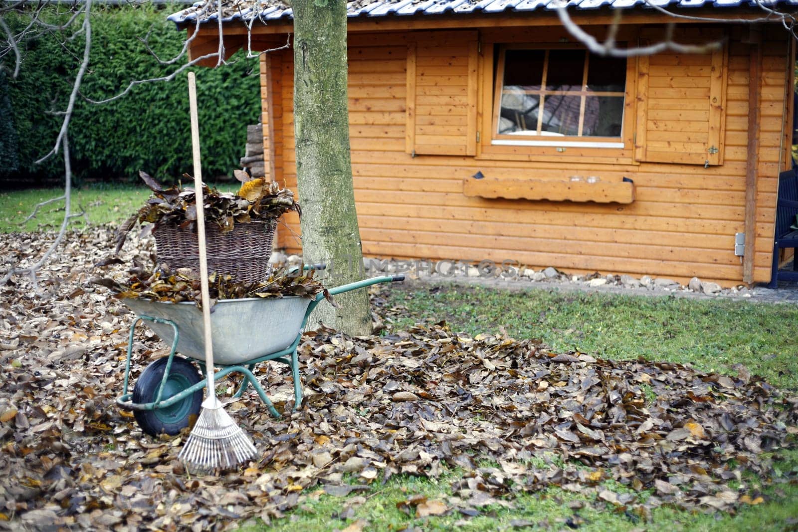 Sweeping leaves in the garden