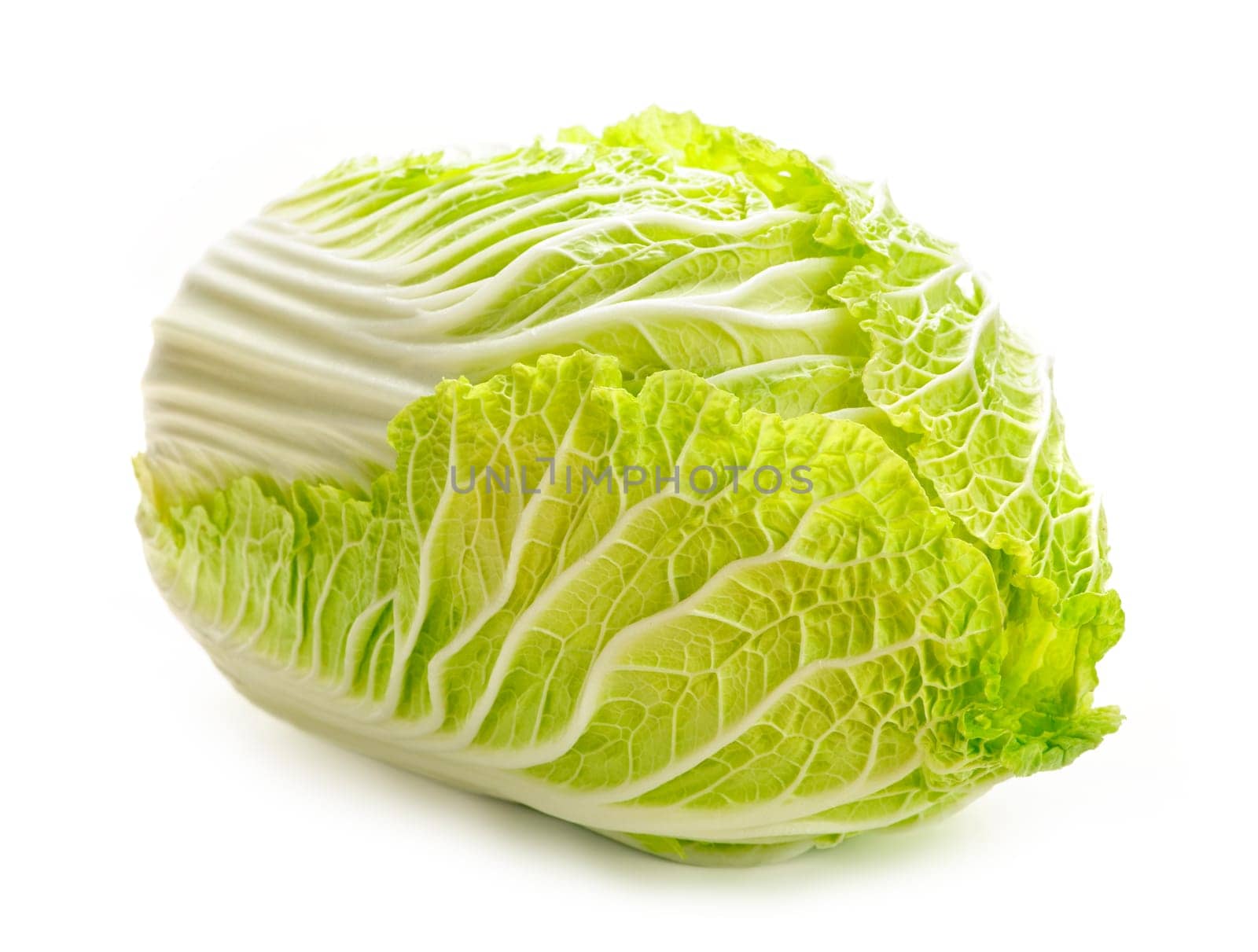 Isolated chinese cabbage