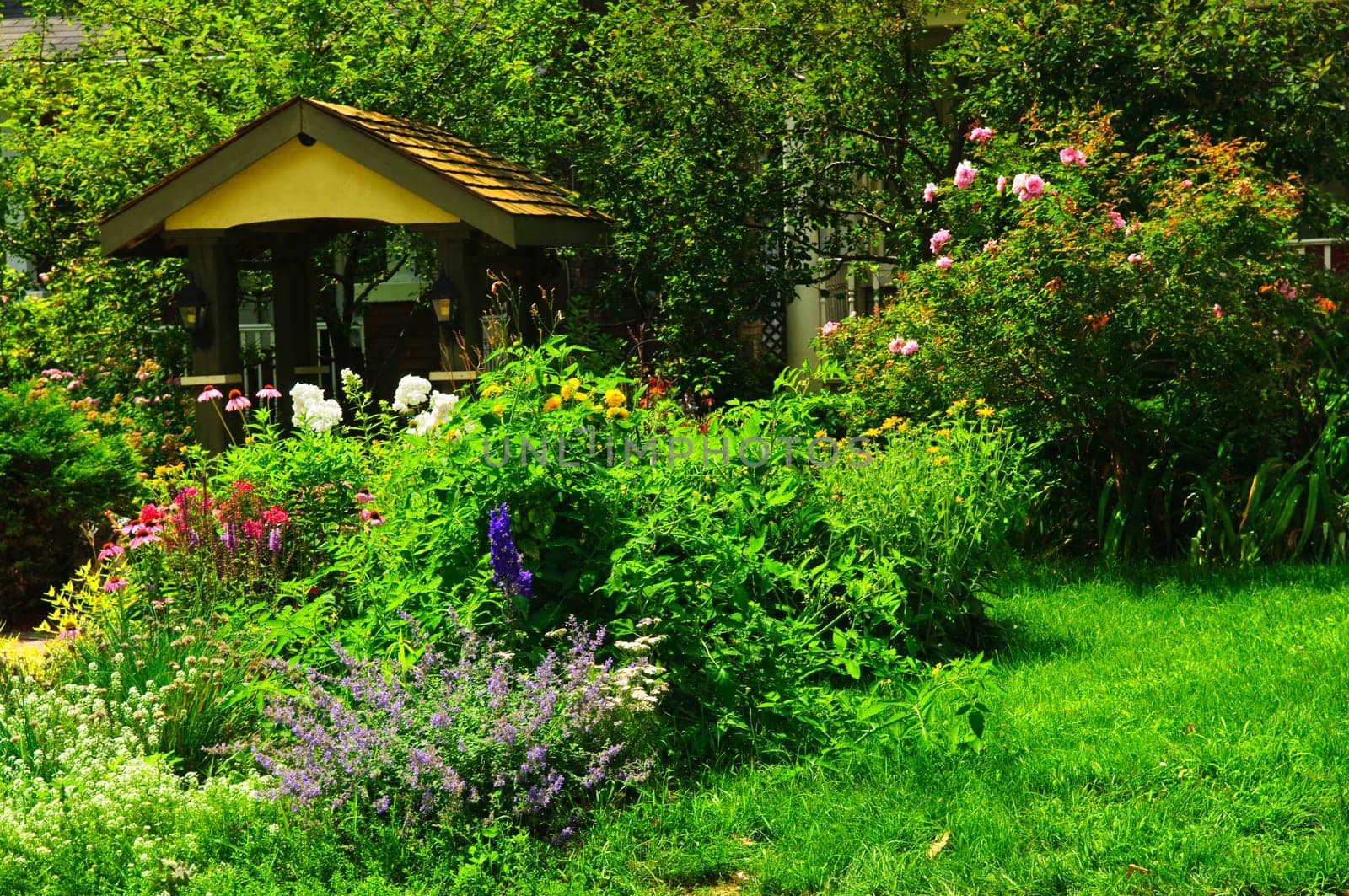 Landscaped garden