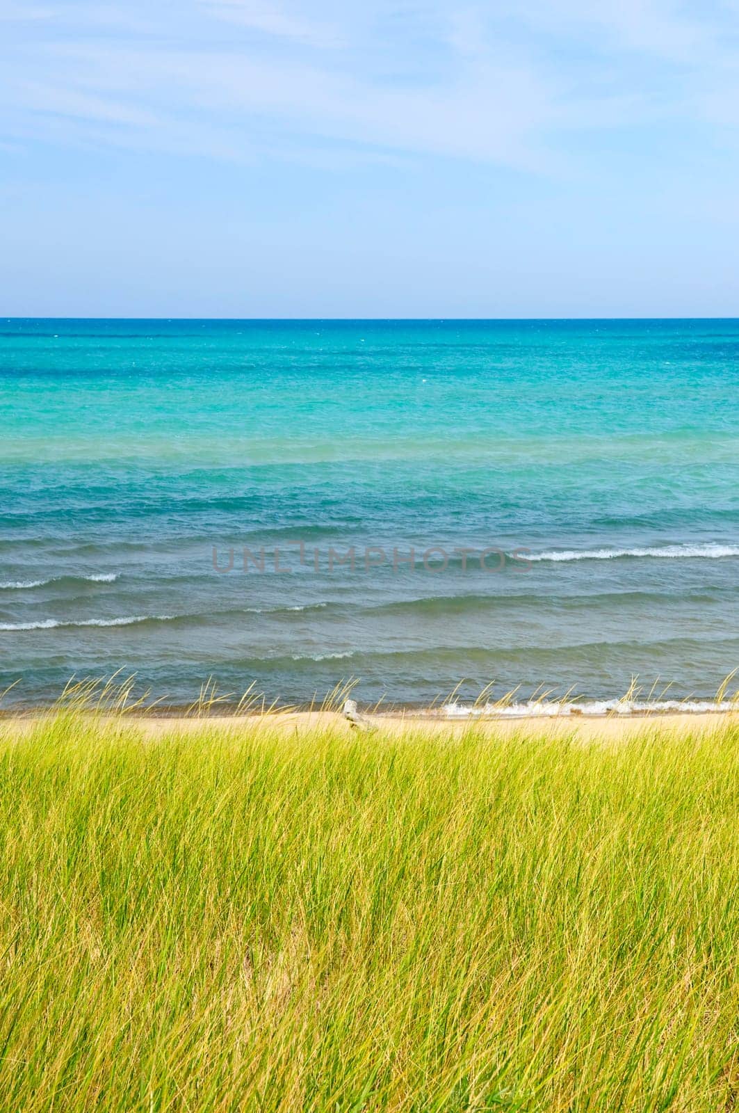Sand dunes at beach