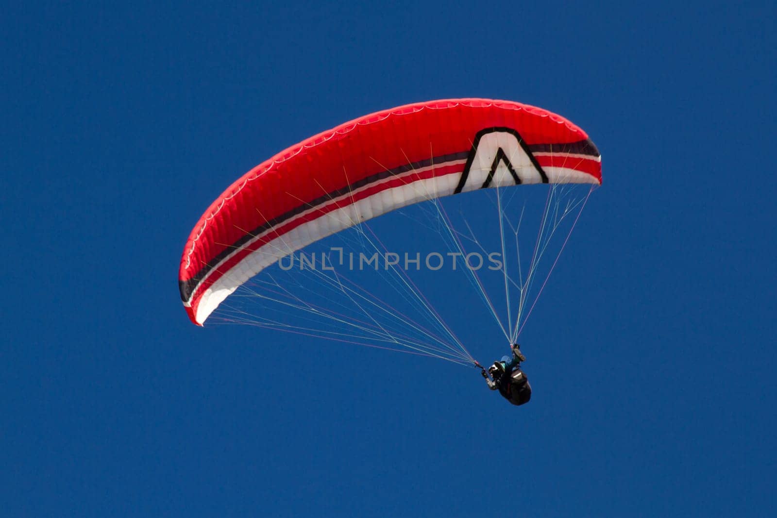 Paraglider