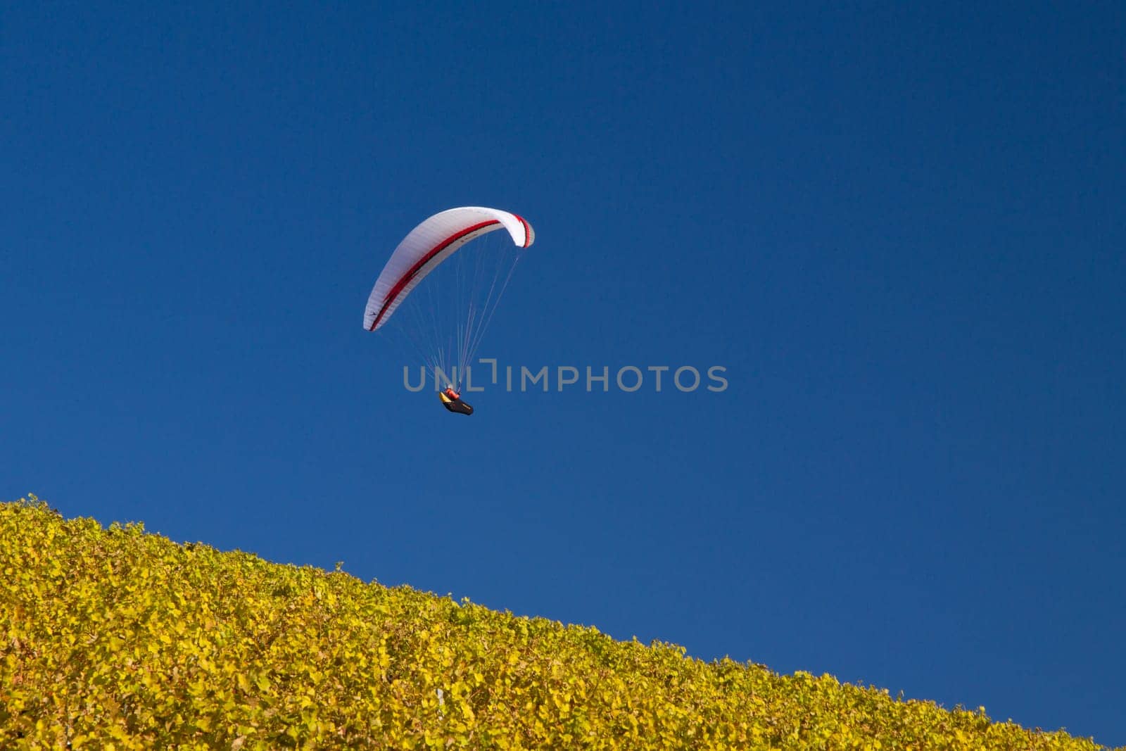 Paraglider