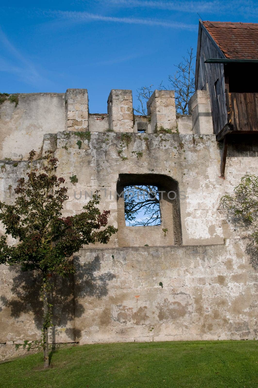 Window of Time