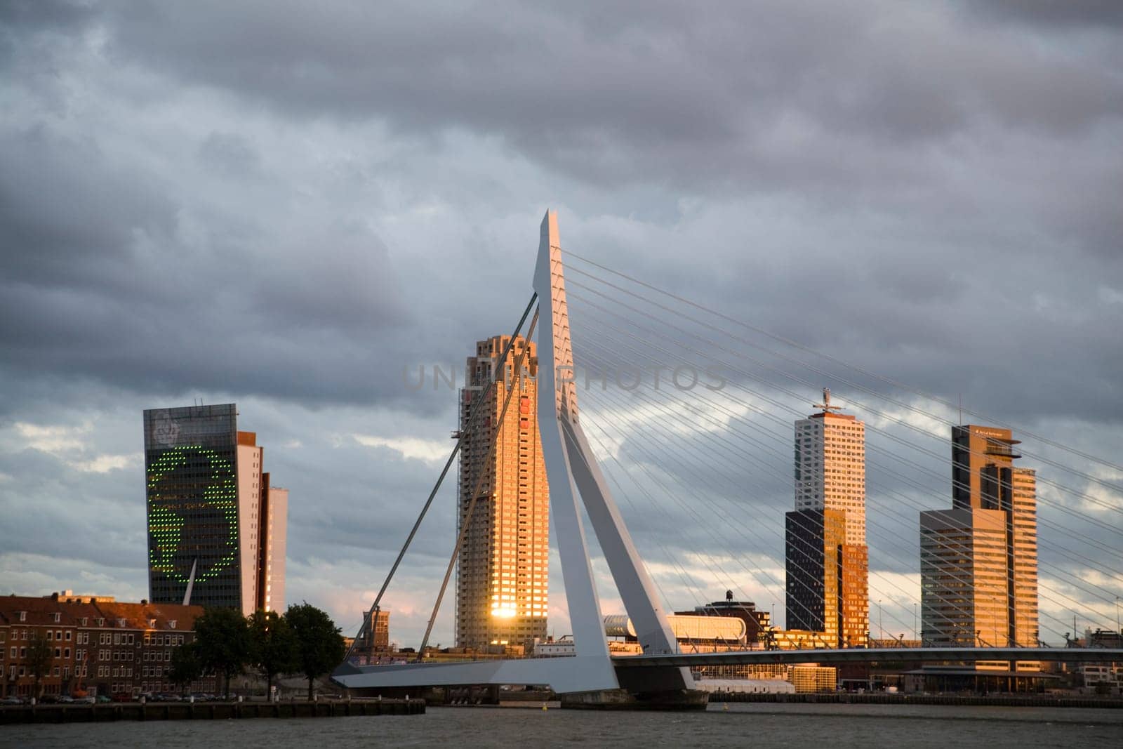 Erasmus Bridge in Rotterdam