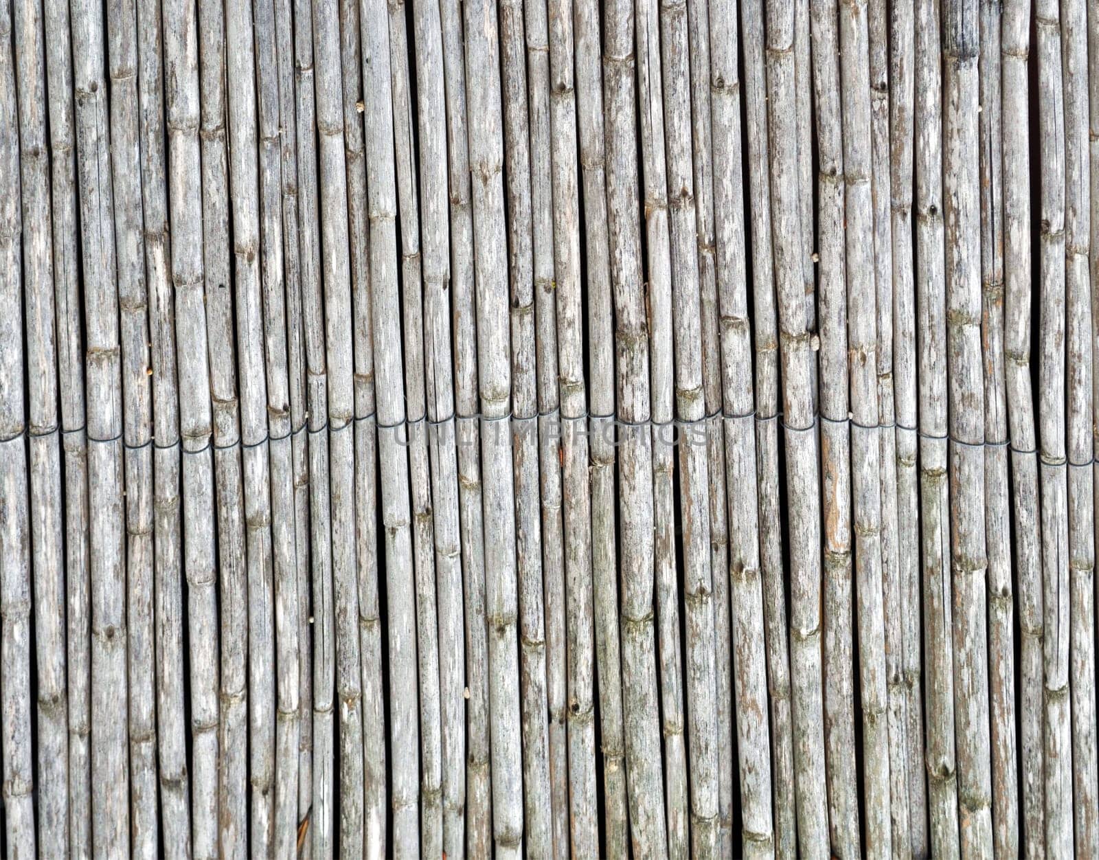 Bamboo fence