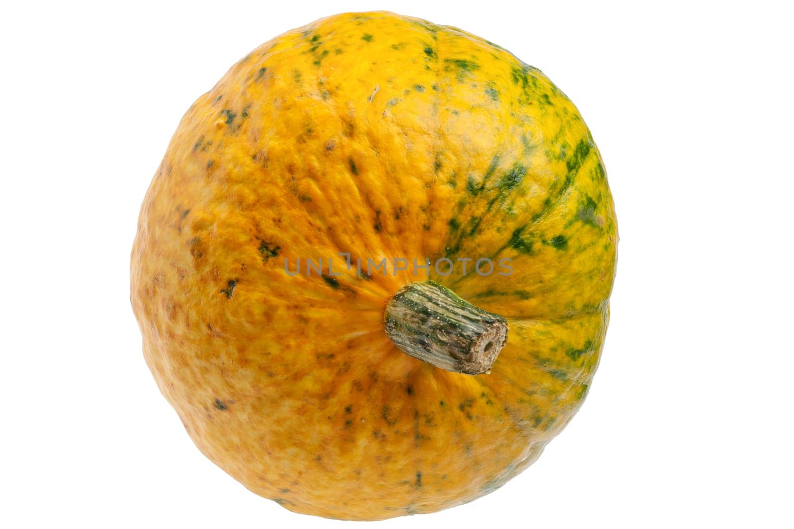 Front view of colourful pumpkin isolated
