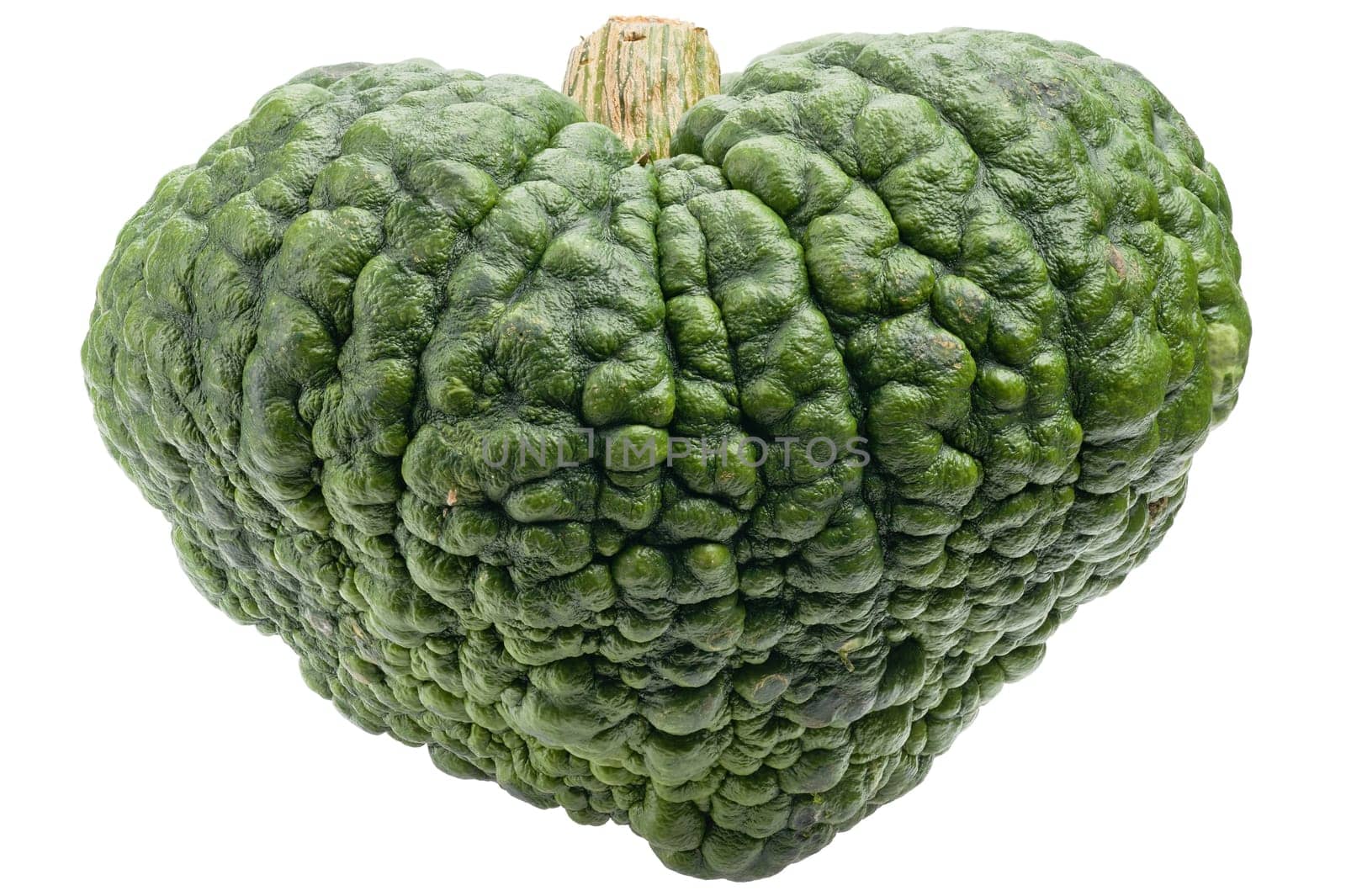 Green pumpkin isolated on white backgrou