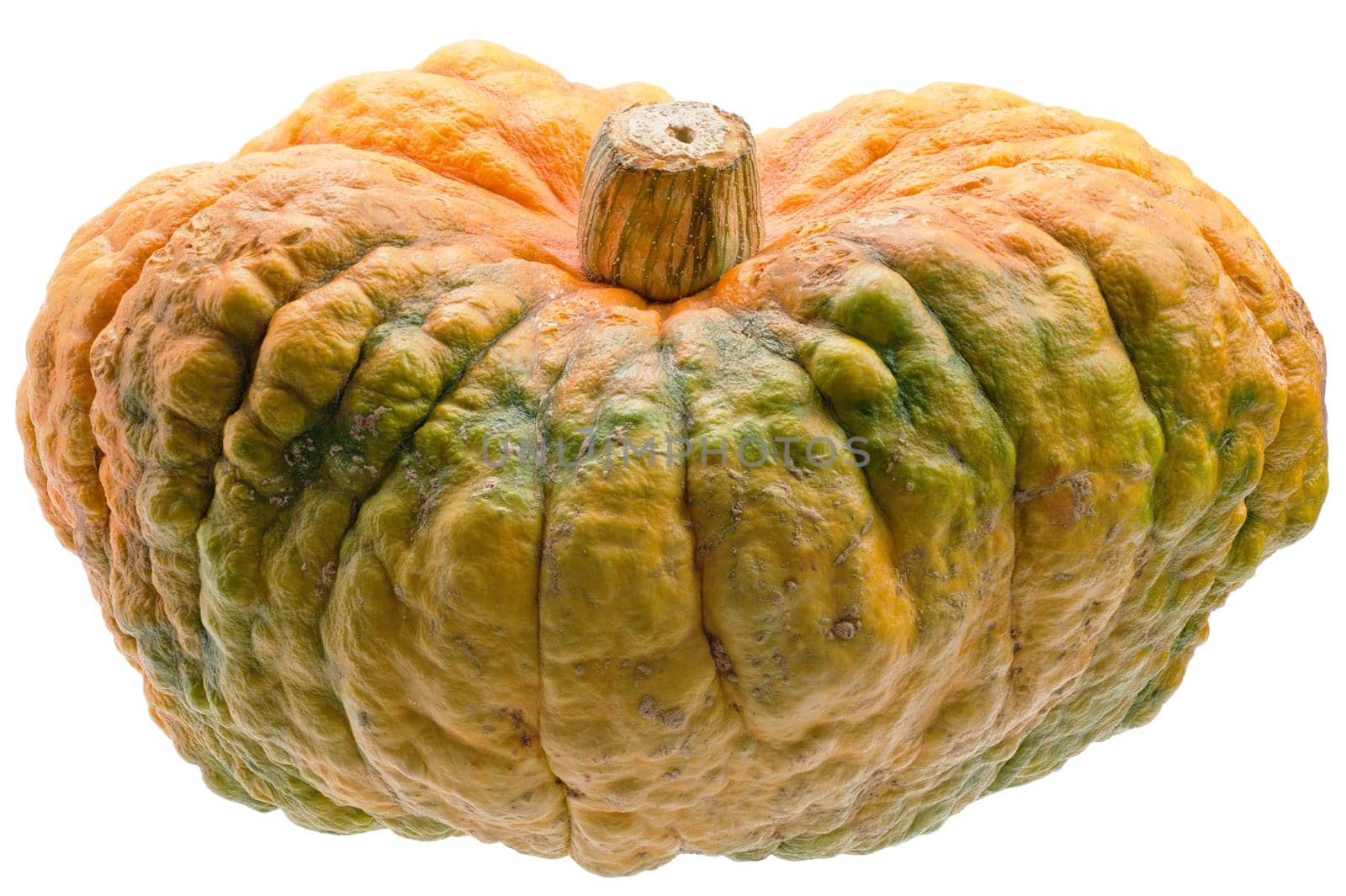 Colourful pumpkin isolated on white back