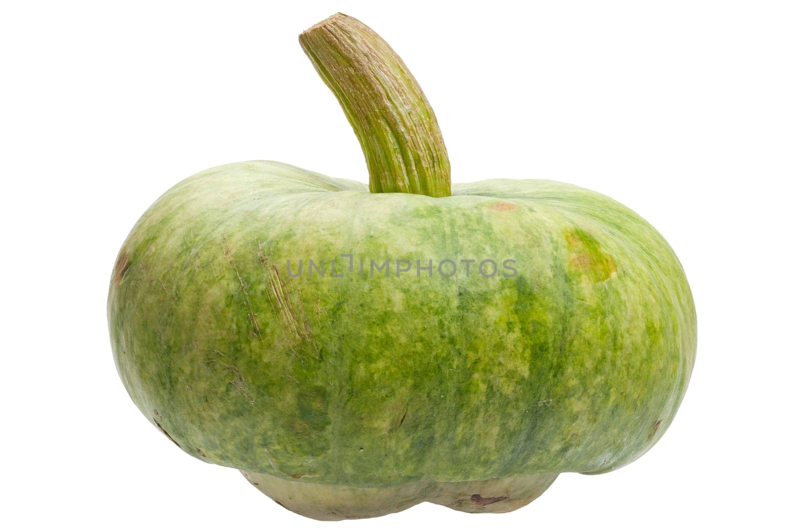 Green pumpkin isolated on white backgrou