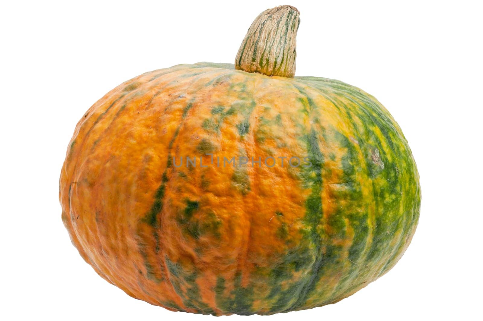 Colourful pumpkin isolated on white back