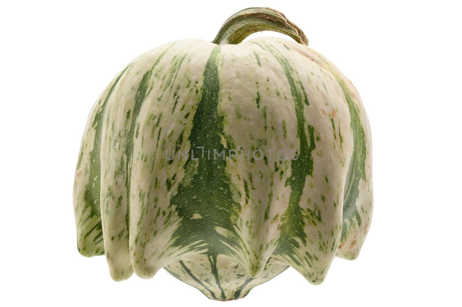 Colourful pumpkin isolated on white back