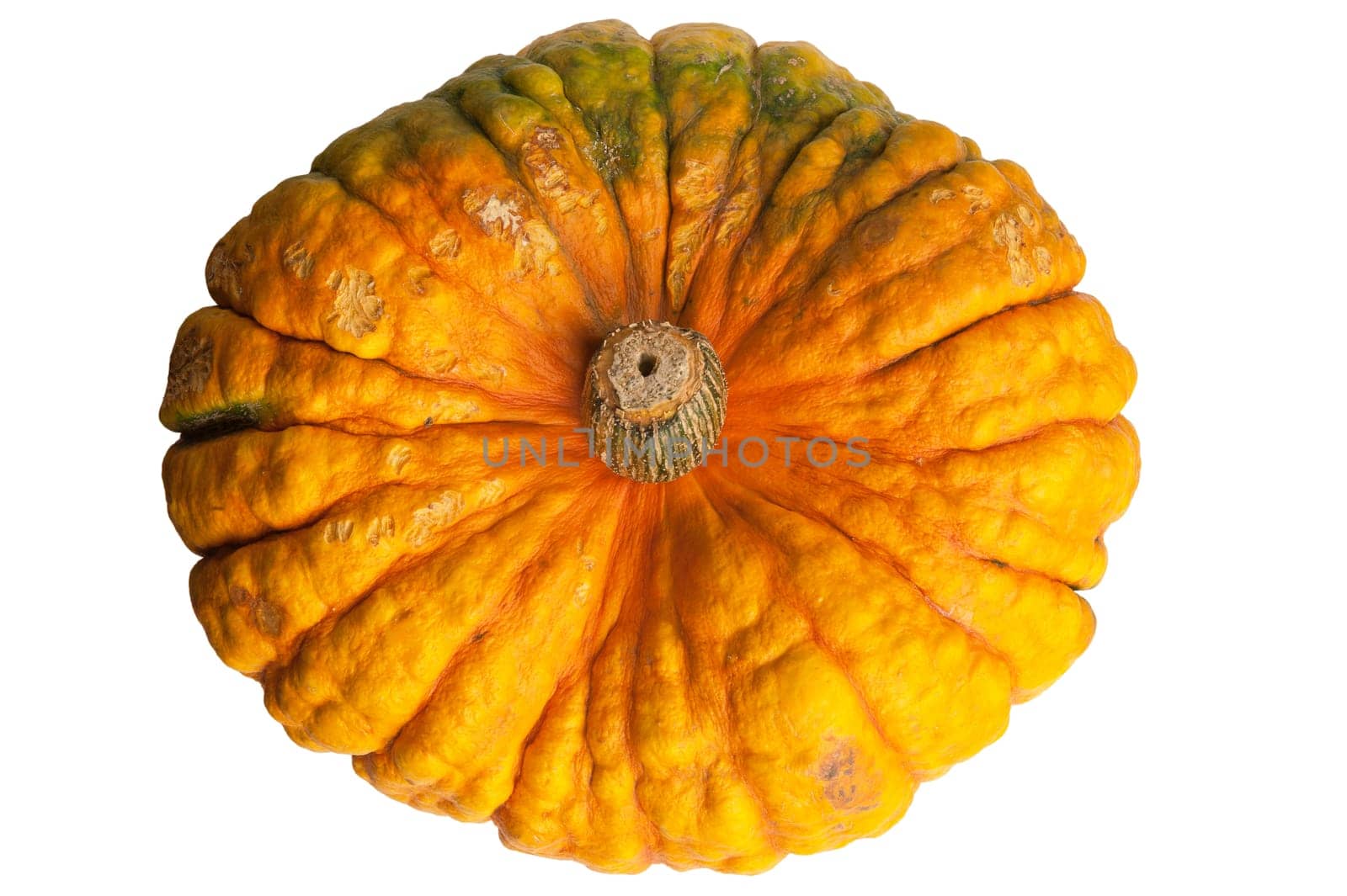 Front view of colourful pumpkin isolated