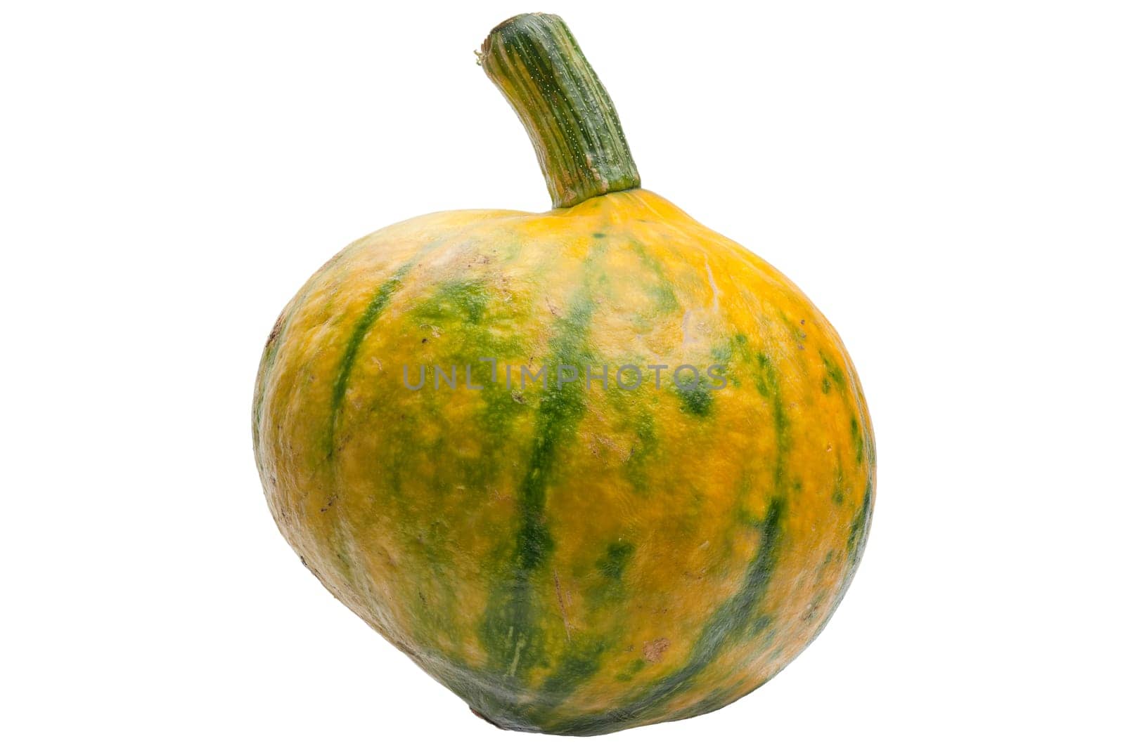 Colourful pumpkin isolated on white back