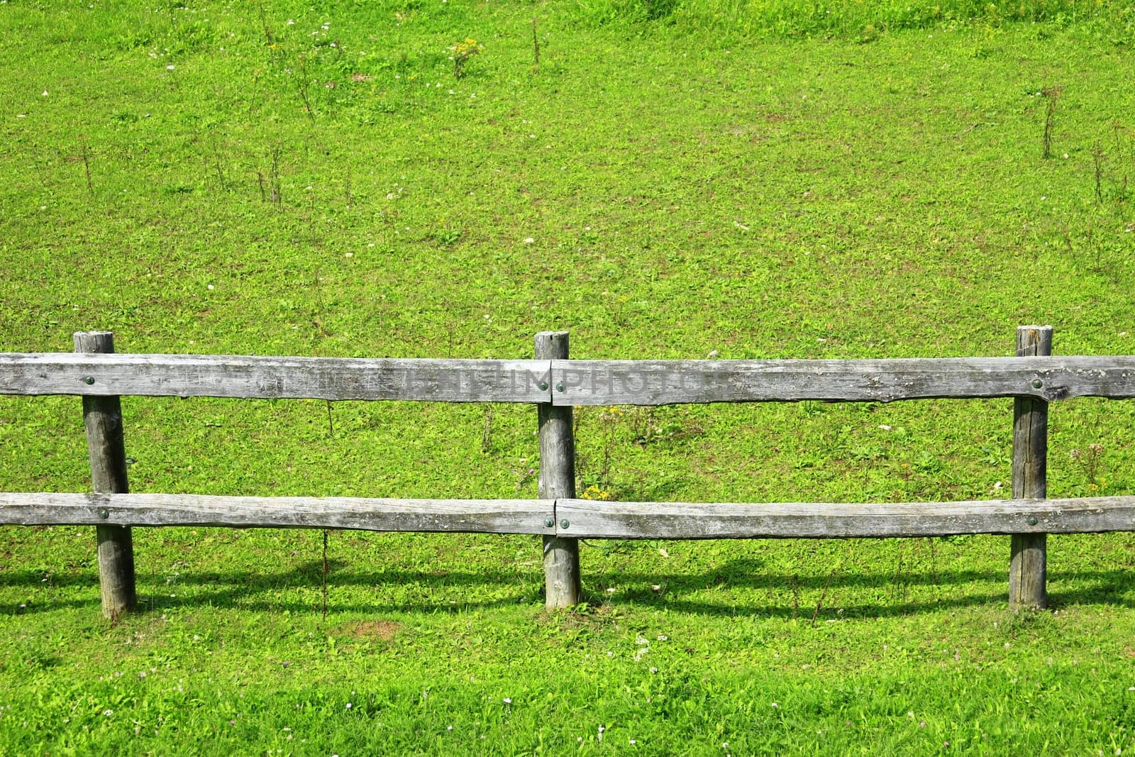 Wooden fence