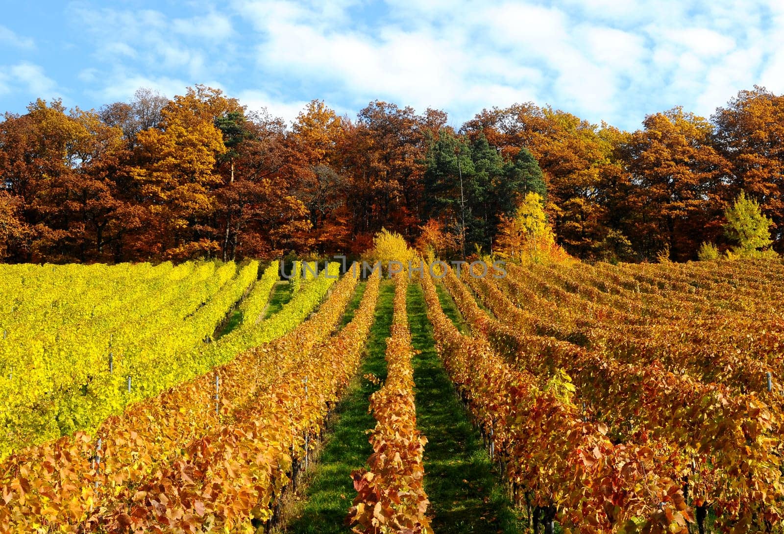 Autumn in Korb Remstal