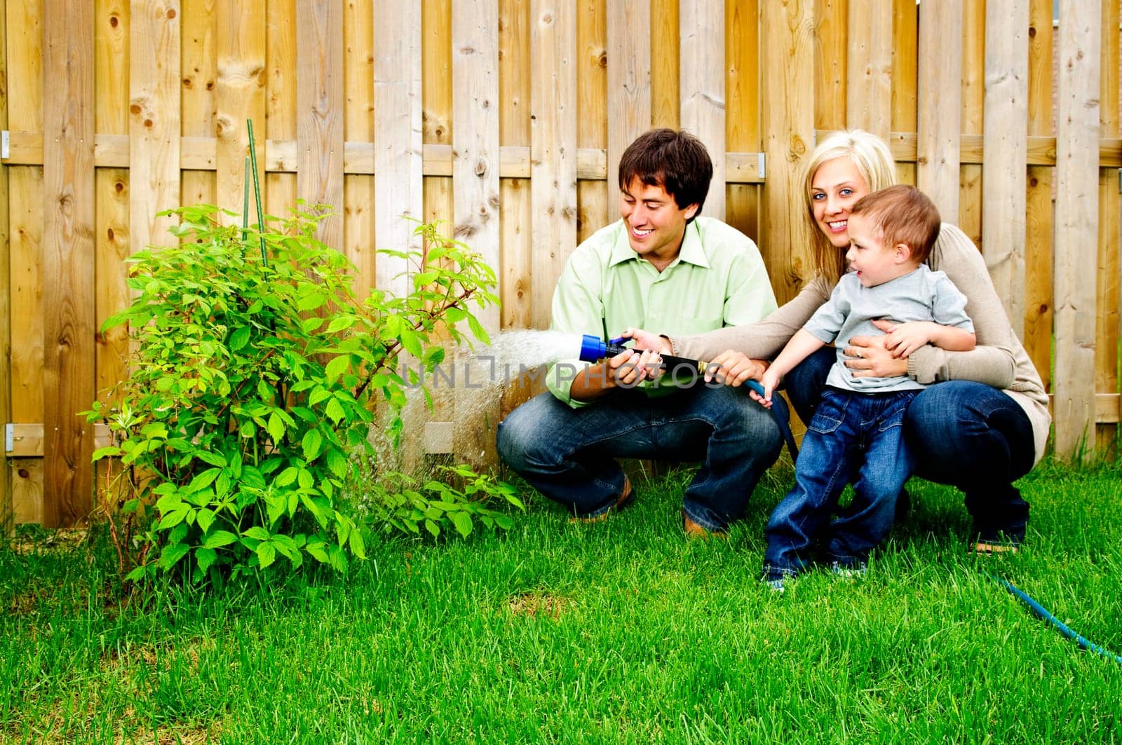 Family watering plant