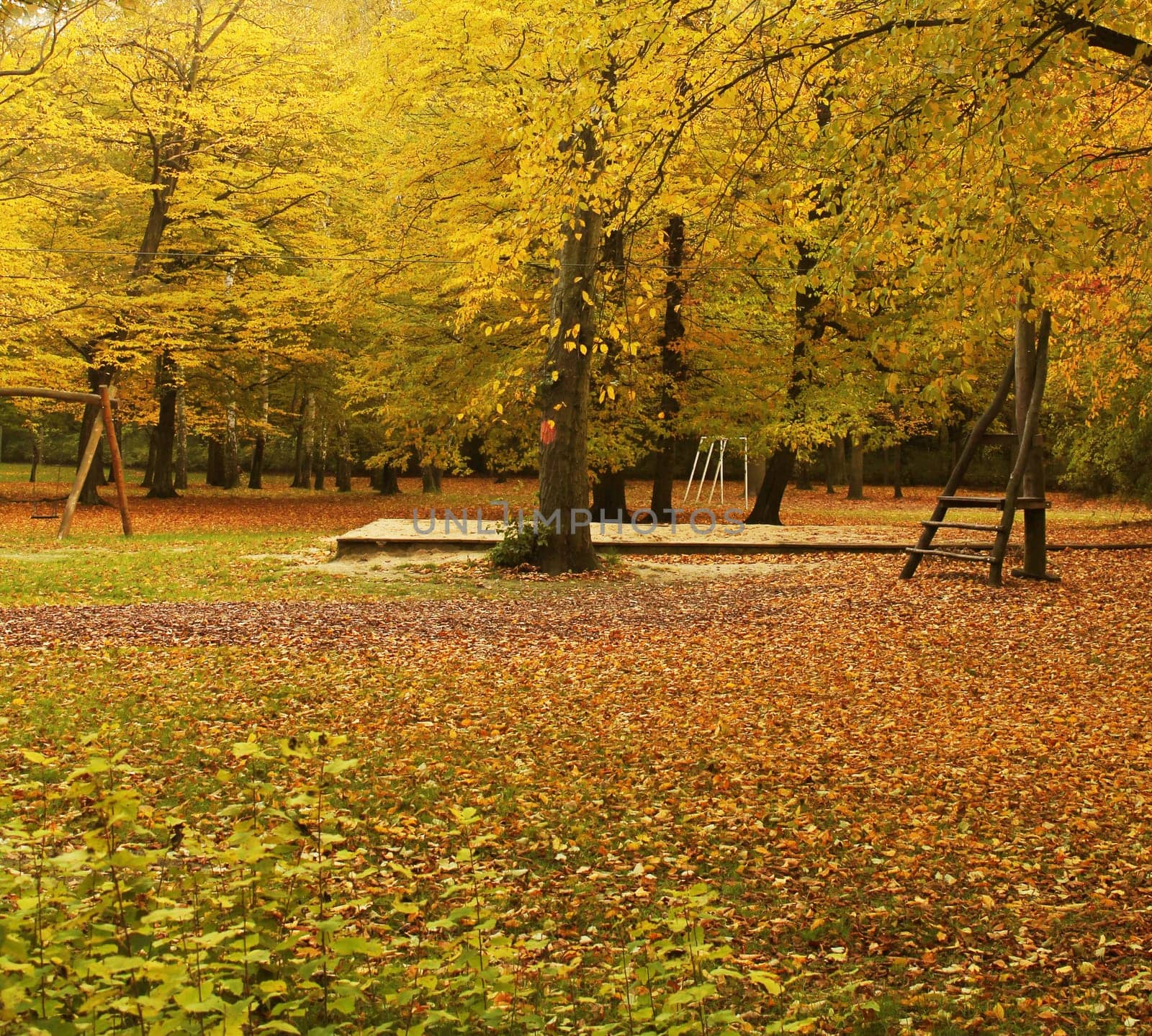 autumn