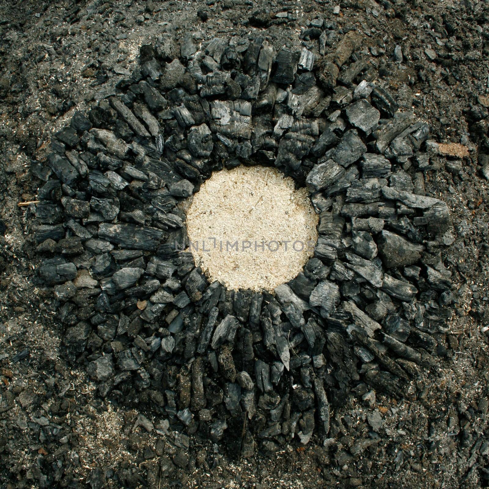 Wood chips in ashes