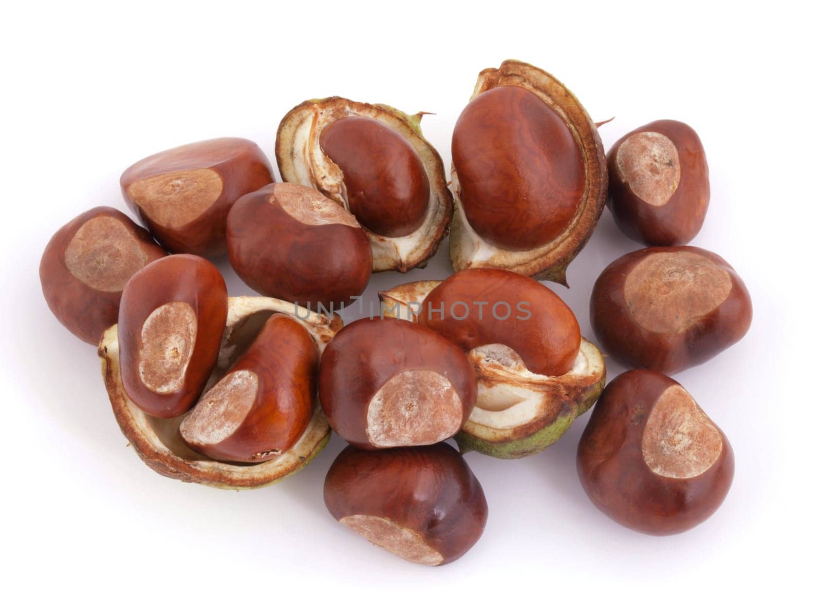 A conker is the seed of a horse chesnut tree.