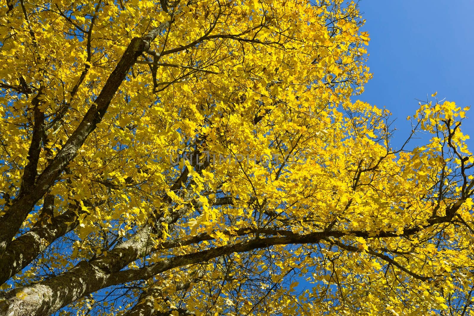 Autumn in the Bavarian foothills of the Alps