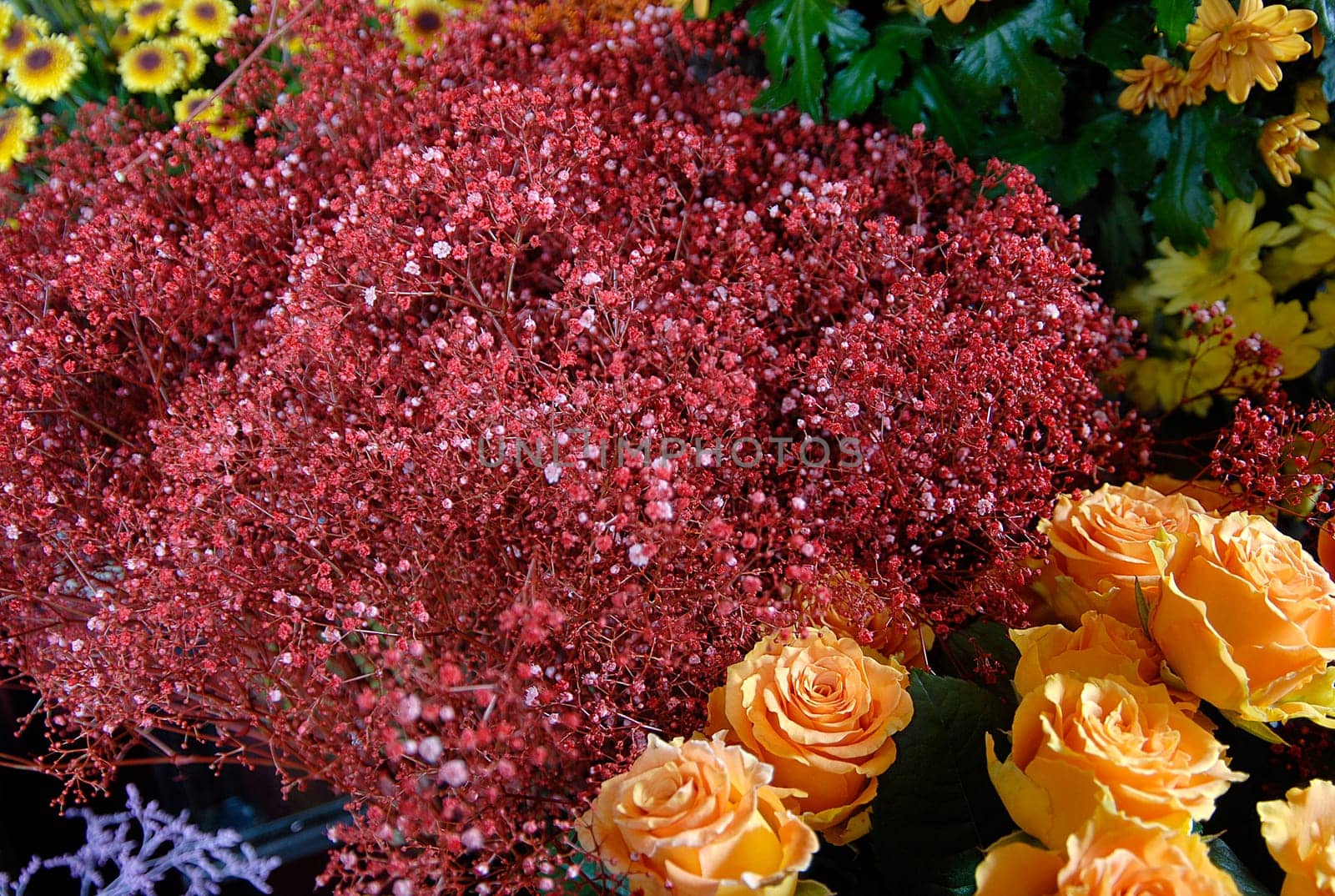 flowers
