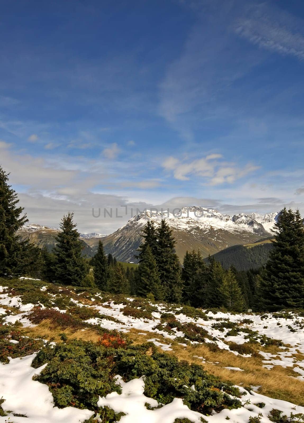 Late Autumn Landscape