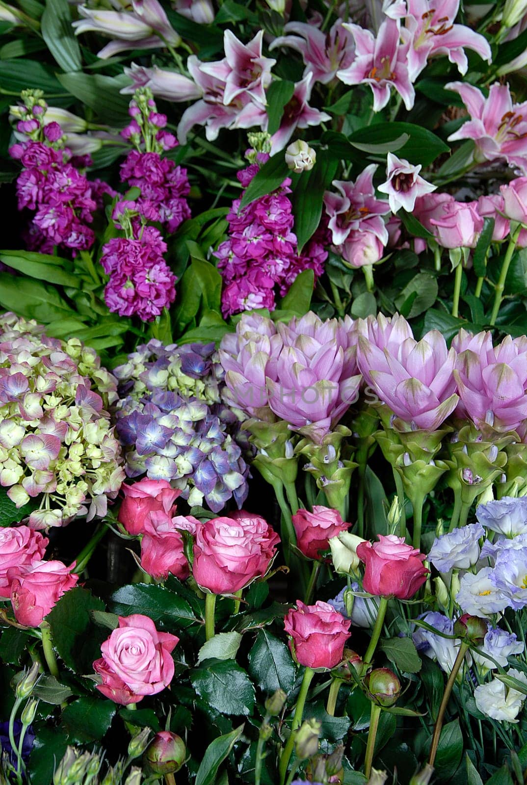 flowers