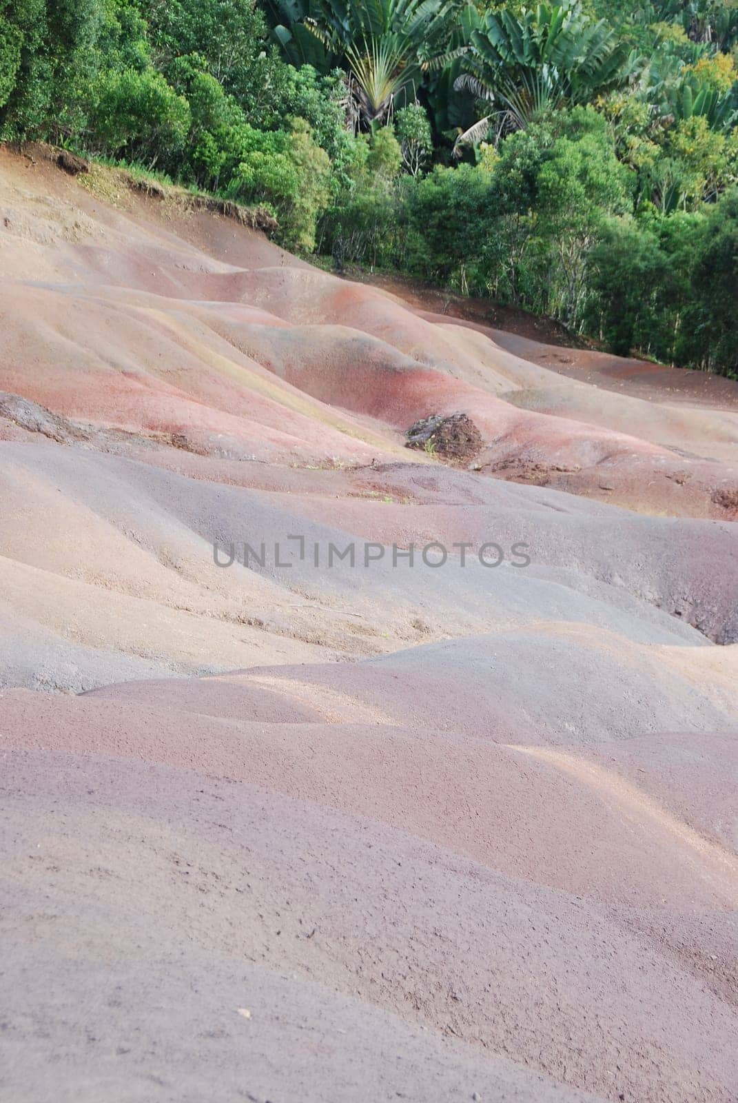 The coloured earths in Chamarel