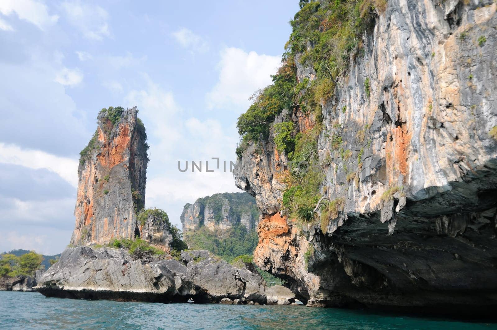 Chicken island
