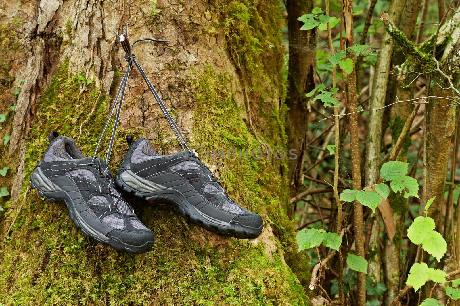 Hiking boots