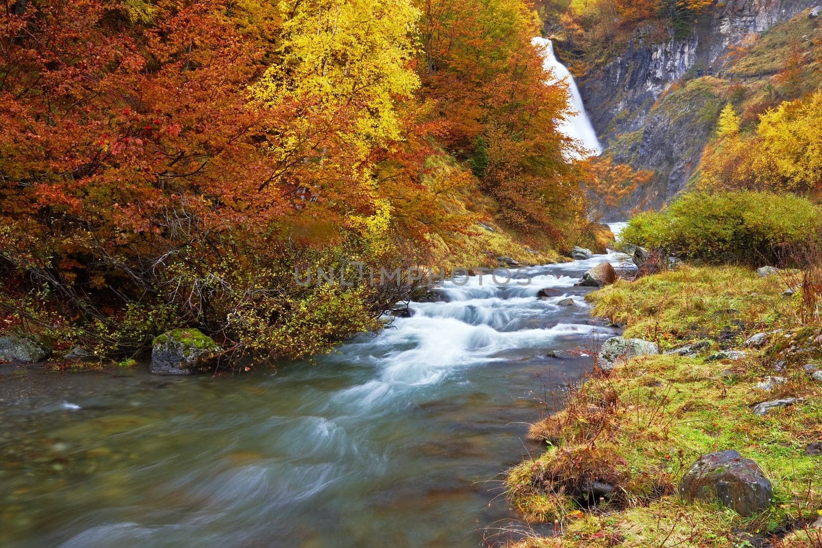 Autumn brook