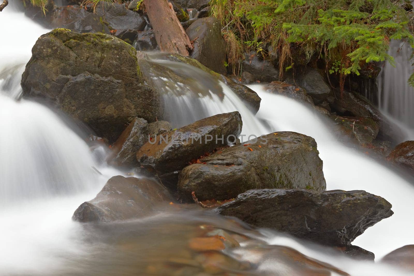 Autumn brook