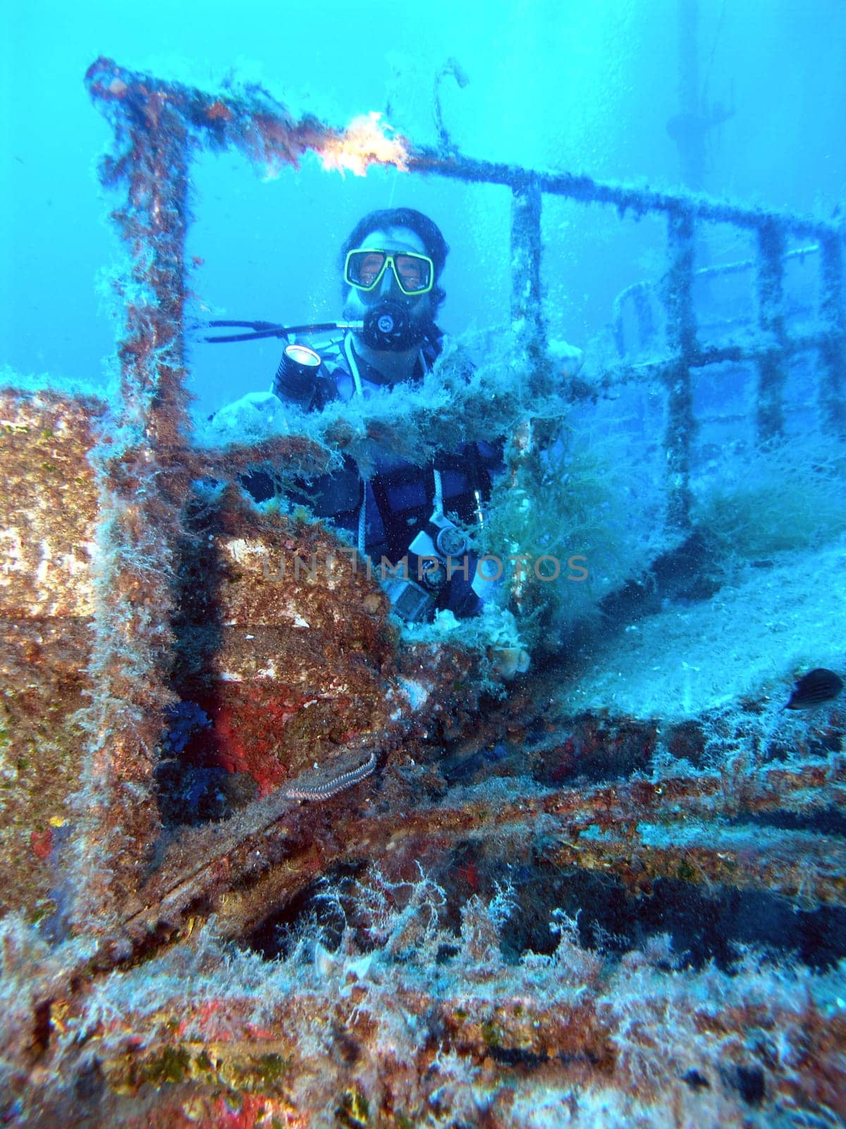 Diver at a shipwreck