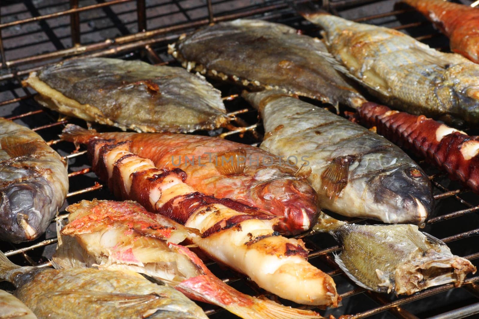 Fish on grill