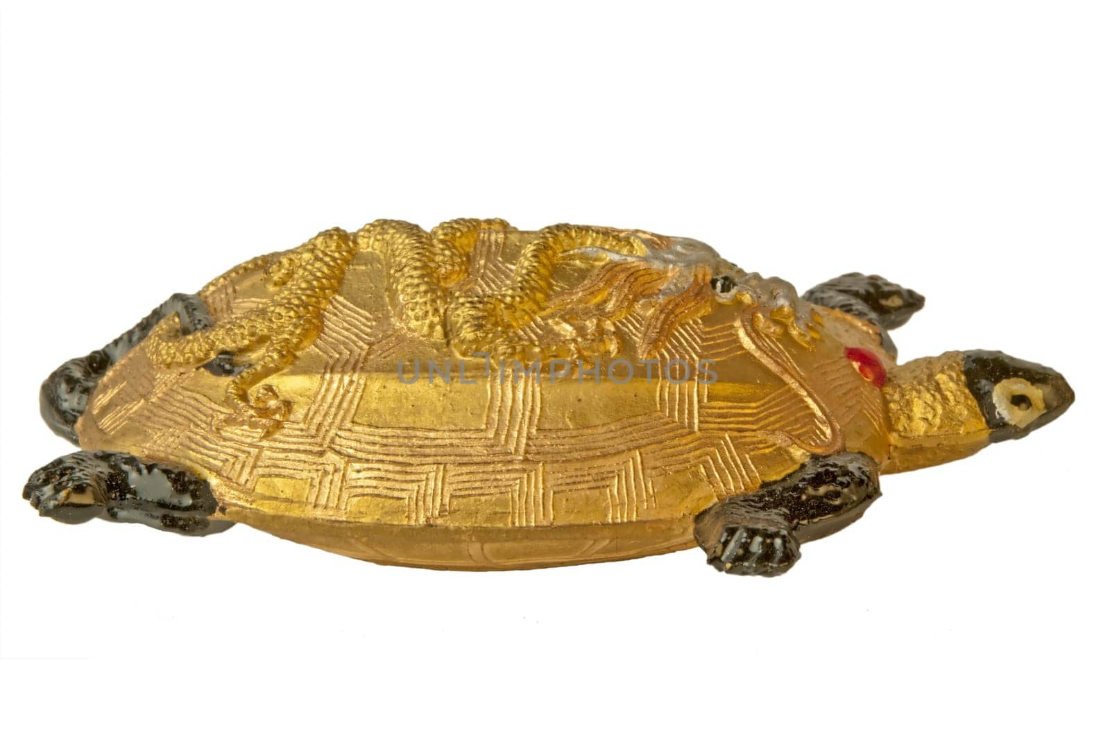 Turtle from China for Calligraphy
