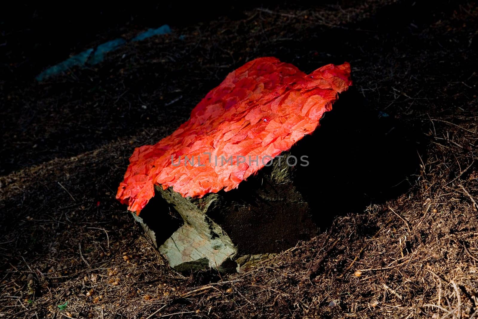 Landart - Wood and Poppies