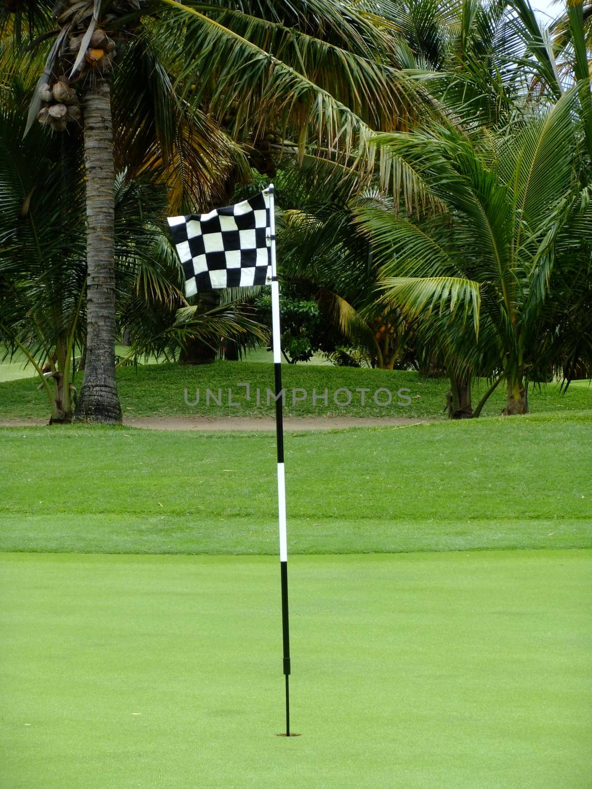 Golf Checkered Flag