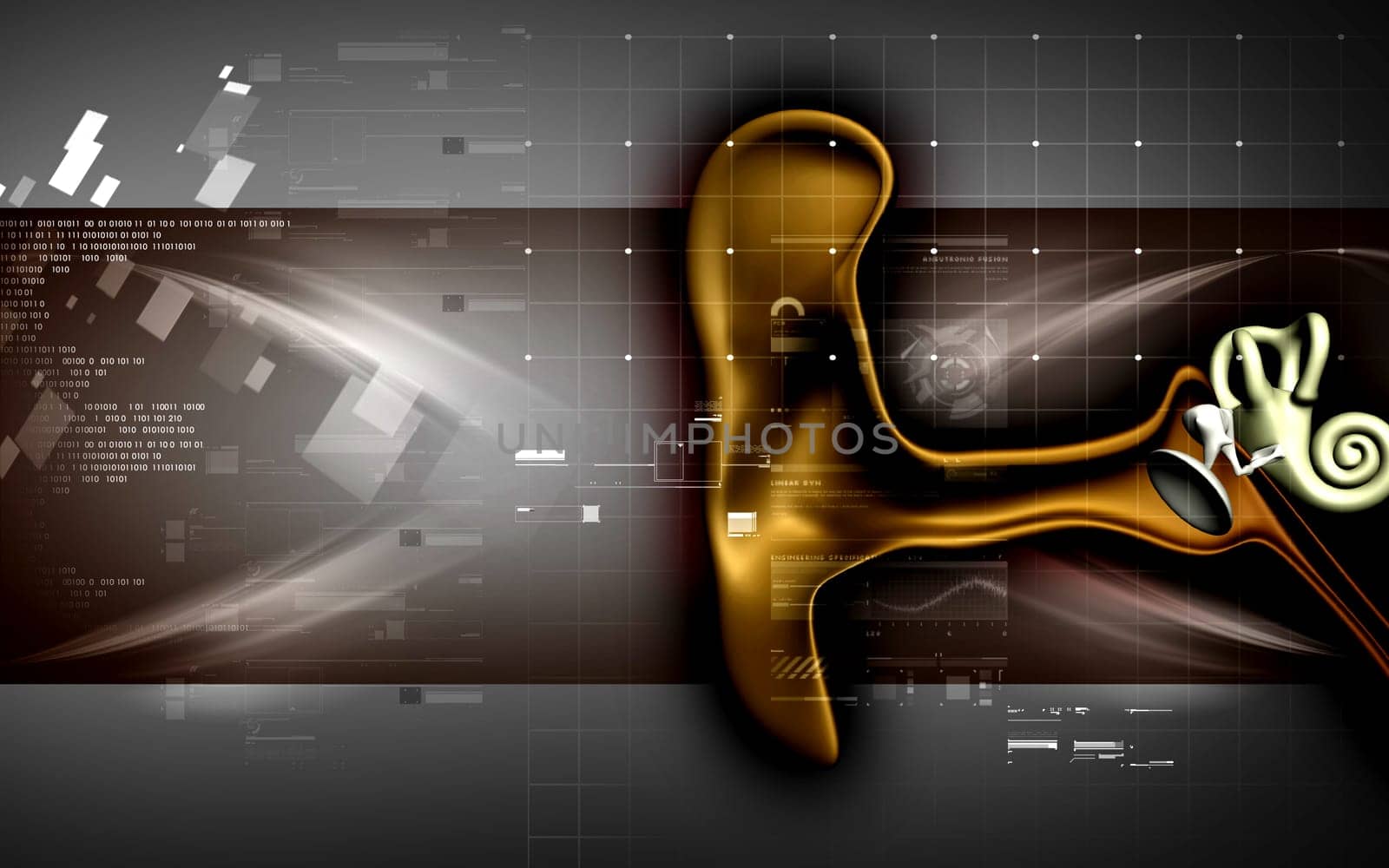 Ear