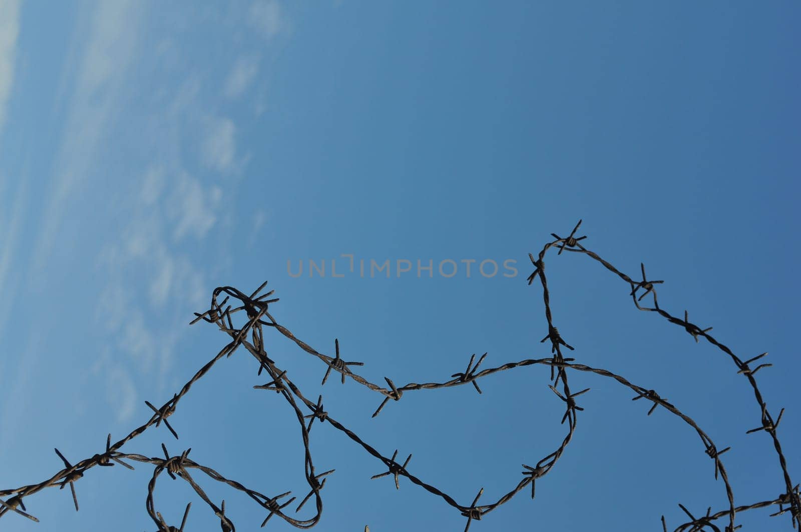 Barbed wire