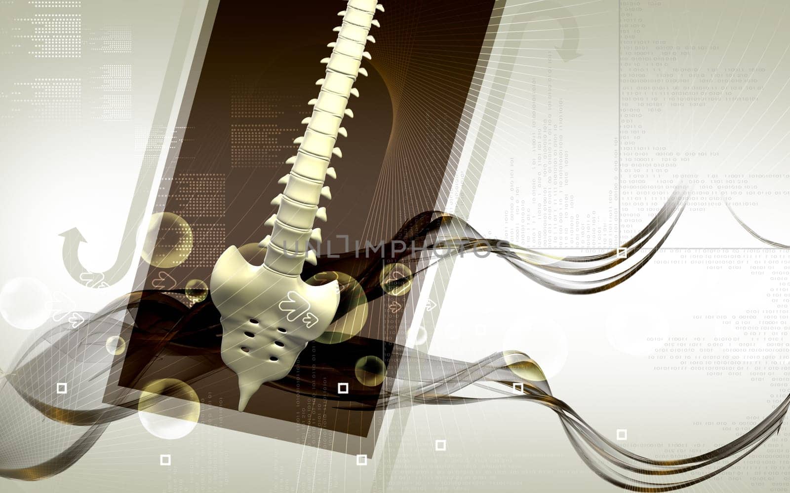 Back bone