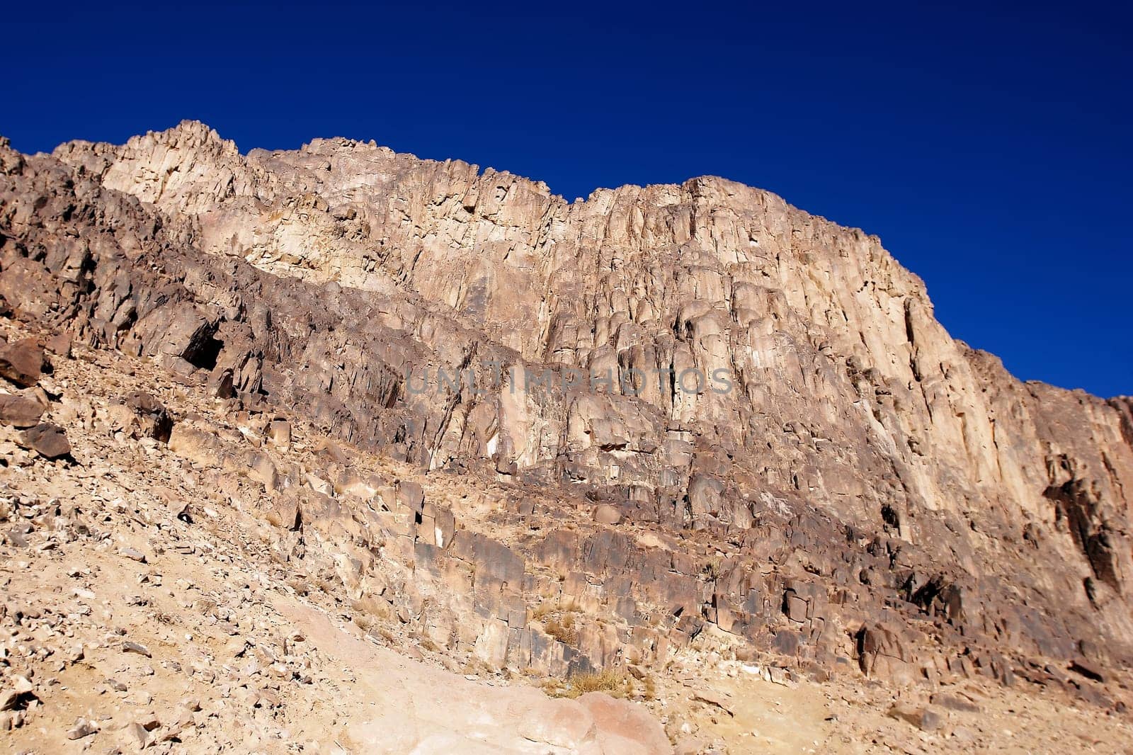 Mount Sinai