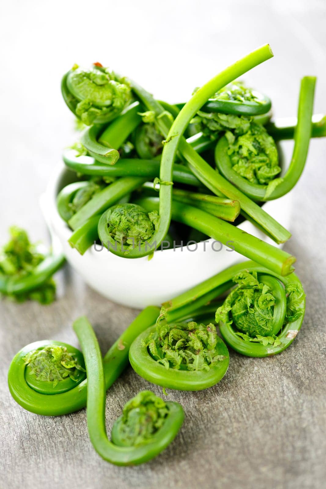 Fiddleheads