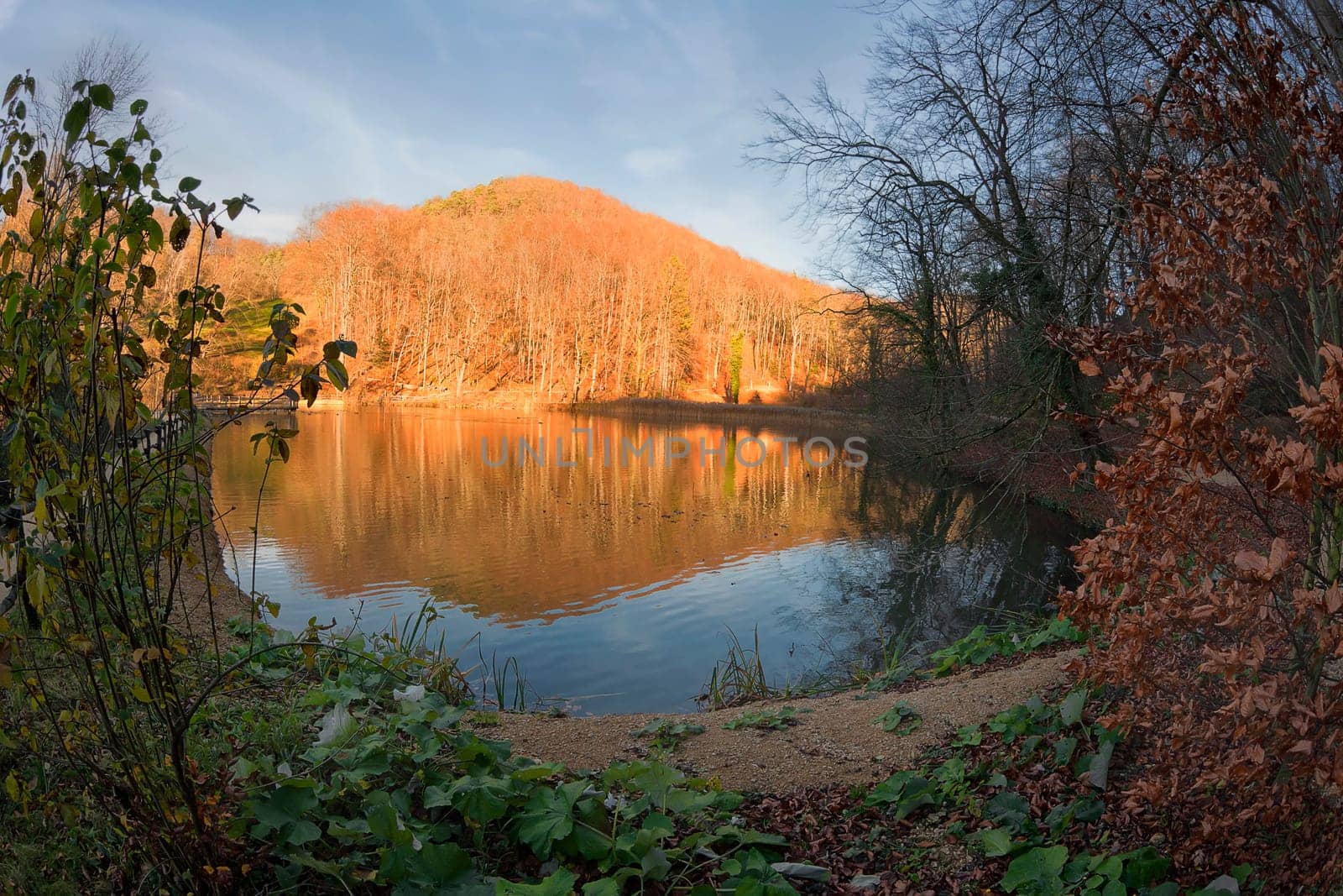 Hermitage Arlesheim Upper Pond