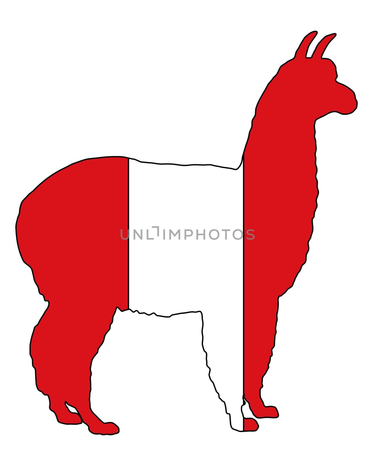Peruvian Alpaca