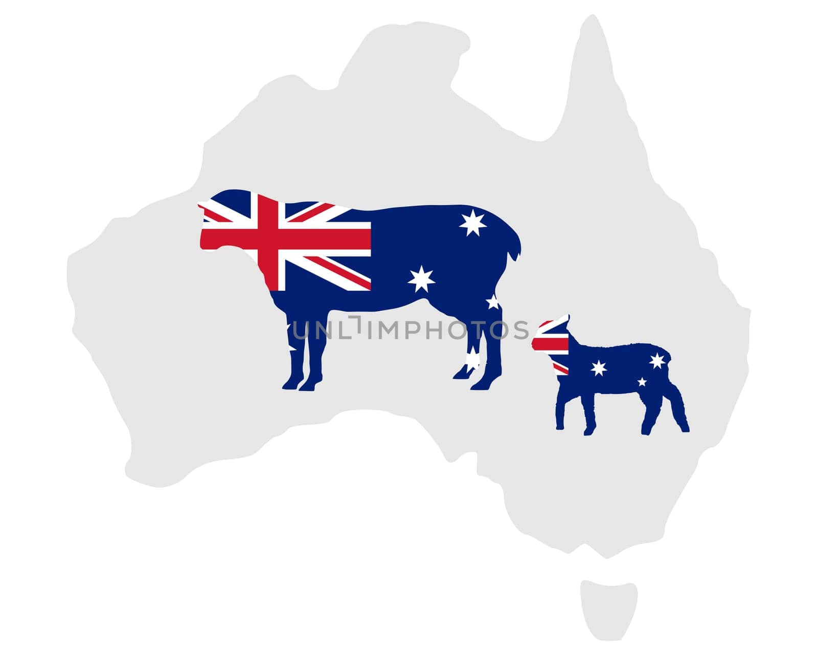 Australia's Sheep