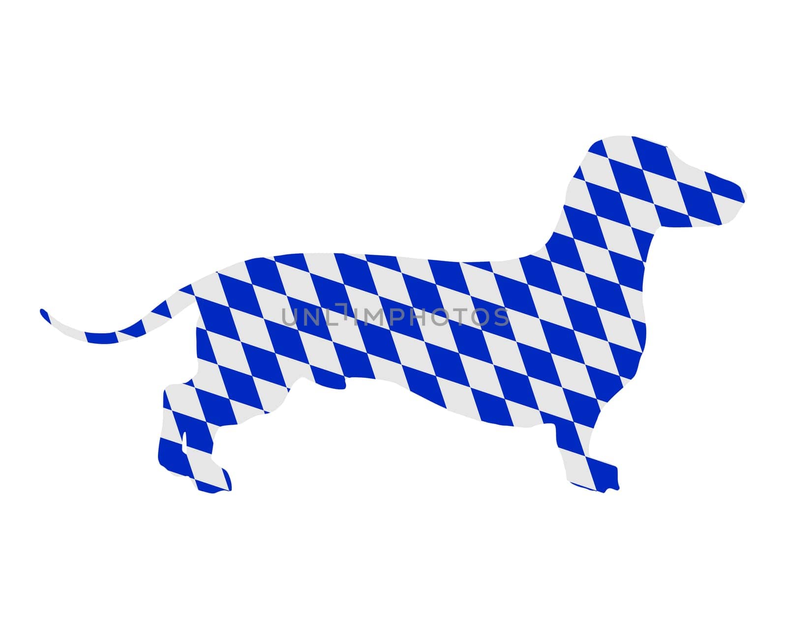 Bavarian Dachshund